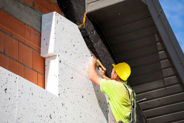 Professional Insulation Services in Catlin, IL